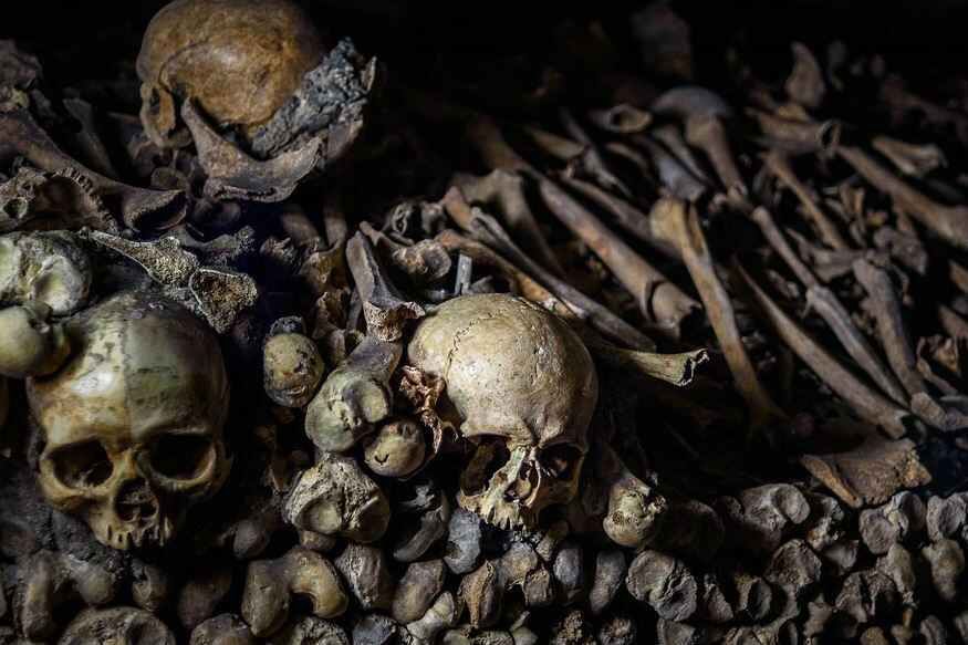 पेरिस में बीते दिनों एक नया ट्रेंड देखा गया. खोज में दिलचस्पी रखने वाले कुछ लोग कैटकॉम्ब्स ऑफ पेरिस में भीतर जाते हैं. वहां वक्त बिताते हैं और बाहर आ जाते हैं. ये लाशों के ढेर से दूर रहते हैं और जाने से पहले मैप तैयार करते हैं ताकि मुर्दों के बीच खो न जाएं. पेरिस में हालांकि ऐसे बहुत ही कम लोग हैं, जिनके पास नीचे पहुंचने और वहां से लौटने की जानकारी है. ये लोग cataphiles कहलाते हैं और बहुत छोटे से समुदाय में रहते हैं. बाहरी लोगों को ये अपने समूह में और एडवेंचर में शामिल नहीं करते हैं.